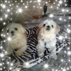 Meet your Posher, Patti